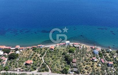 AYVACIK - AHMETÇE DENİZE SIFIR ZEYTİNLİK -TAŞ EV