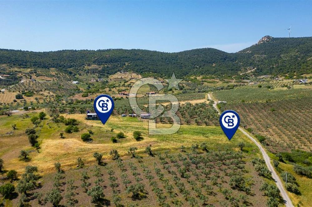 Foça Kocamehmetler'de Satılık Tarla