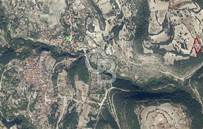 CB AMBIANCE'DAN KELES(BURSA) BASAK KÖYÜNDE 5054m2 TARLA