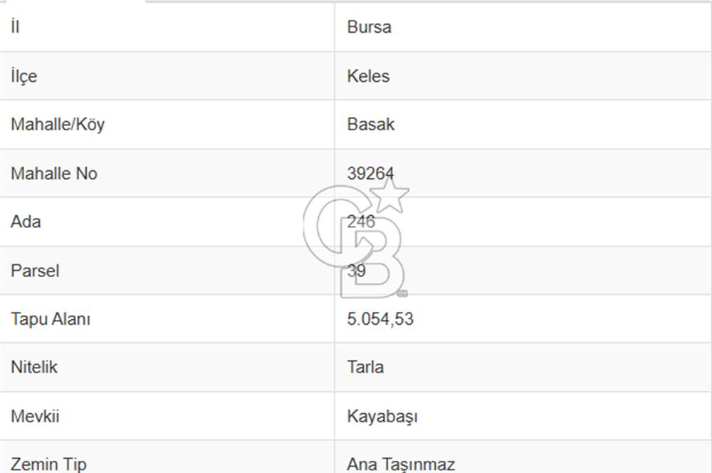 CB AMBIANCE'DAN KELES(BURSA) BASAK KÖYÜNDE 5054m2 TARLA