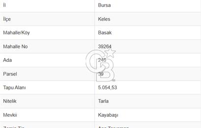 CB AMBIANCE'DAN KELES(BURSA) BASAK KÖYÜNDE 5054m2 TARLA