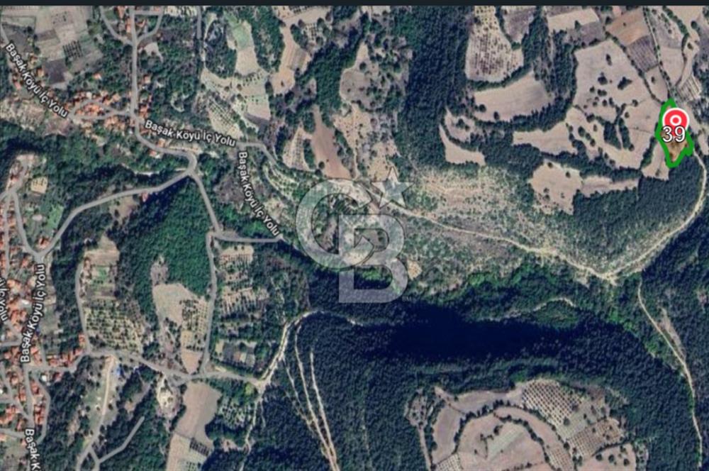 CB AMBIANCE'DAN KELES(BURSA) BASAK KÖYÜNDE 5054m2 TARLA