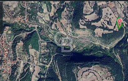 CB AMBIANCE'DAN KELES(BURSA) BASAK KÖYÜNDE 5054m2 TARLA