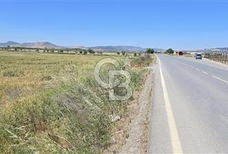 Foça Gerenköy Anayol Üzeri Satılık Tarla