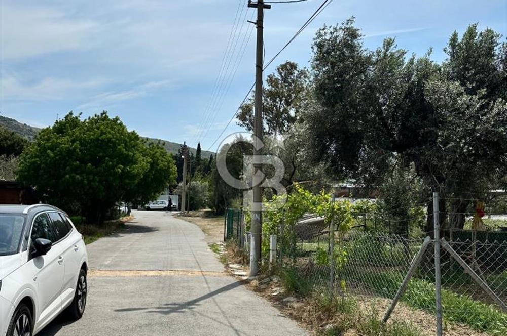 Foça Atatürk Mah. Kiralık 2+1 Açık Mutfaklı Daire