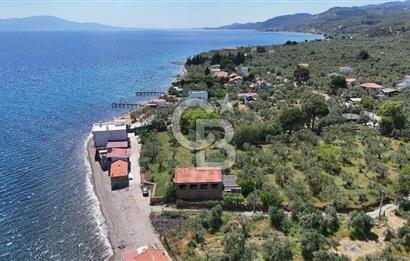 AYVACIK - AHMETÇE DENİZE SIFIR ZEYTİNLİK -TAŞ EV