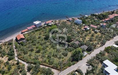 AYVACIK - AHMETÇE DENİZE SIFIR ZEYTİNLİK -TAŞ EV