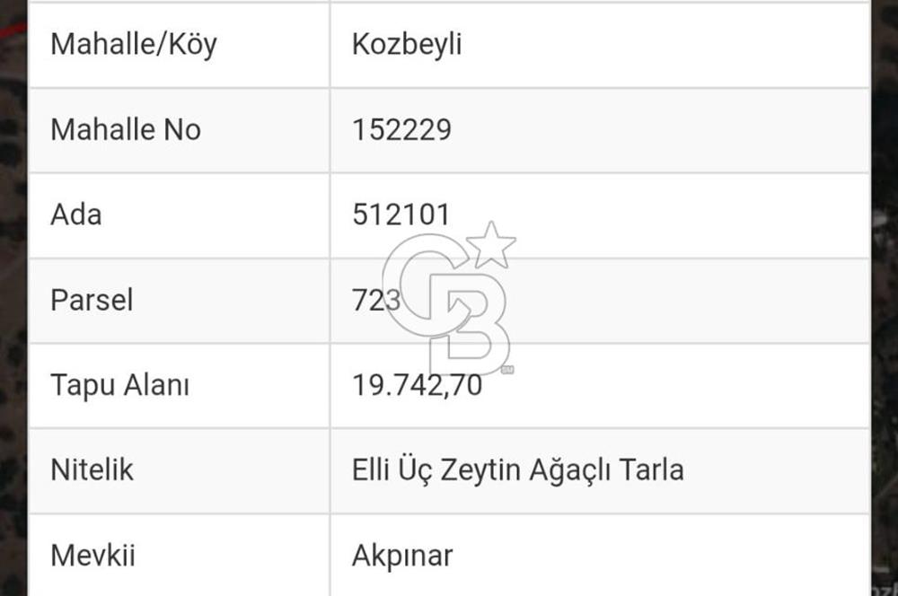 İzmir Foça Kozbeylide Satılık Tarla 