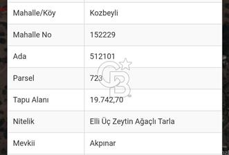 İzmir Foça Kozbeylide Satılık Tarla 