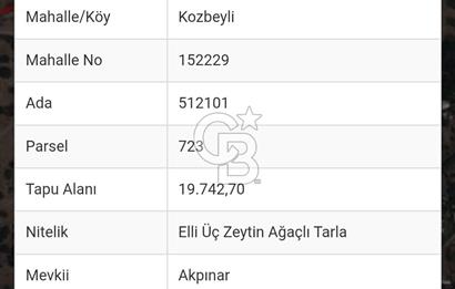 İzmir Foça Kozbeylide Satılık Tarla 