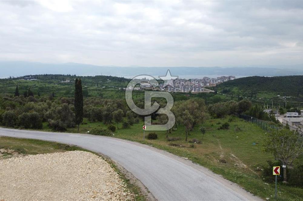 Tavşancıl da Köprü Ve Deniz Manzaralı Satılık 880 m² Parsel