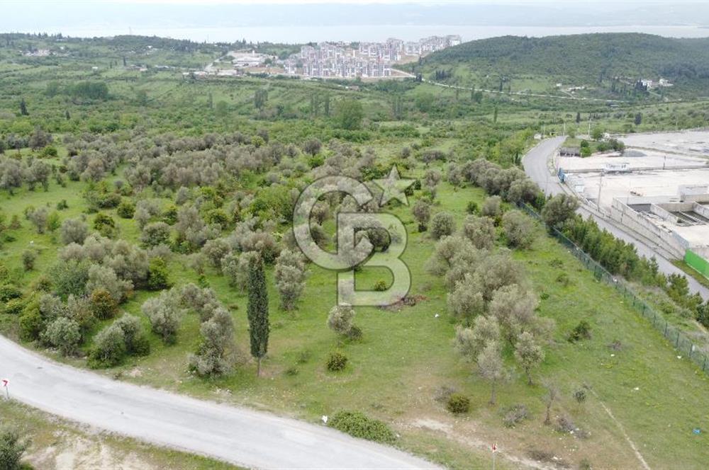 Tavşancıl da Köprü Ve Deniz Manzaralı Satılık 880 m² Parsel