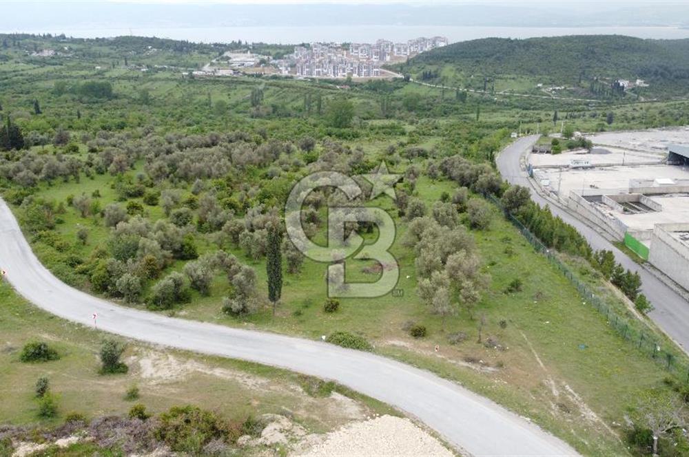 Tavşancıl da Köprü Ve Deniz Manzaralı Satılık 880 m² Parsel