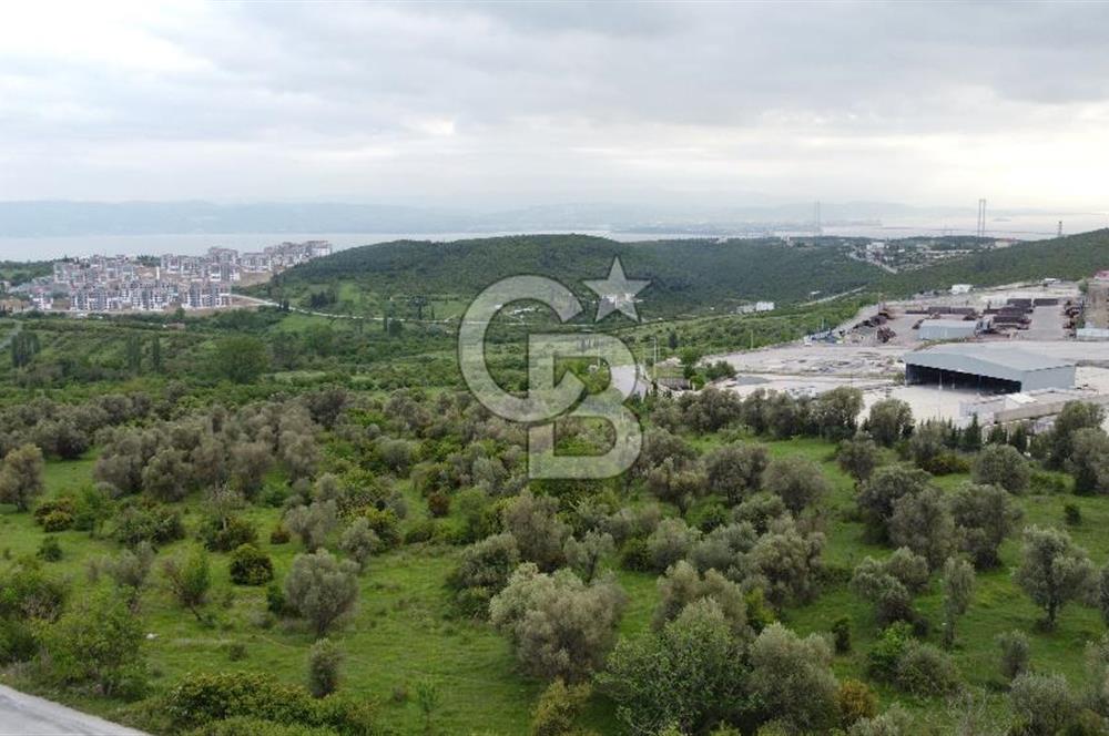 Tavşancıl da Köprü Ve Deniz Manzaralı Satılık 880 m² Parsel