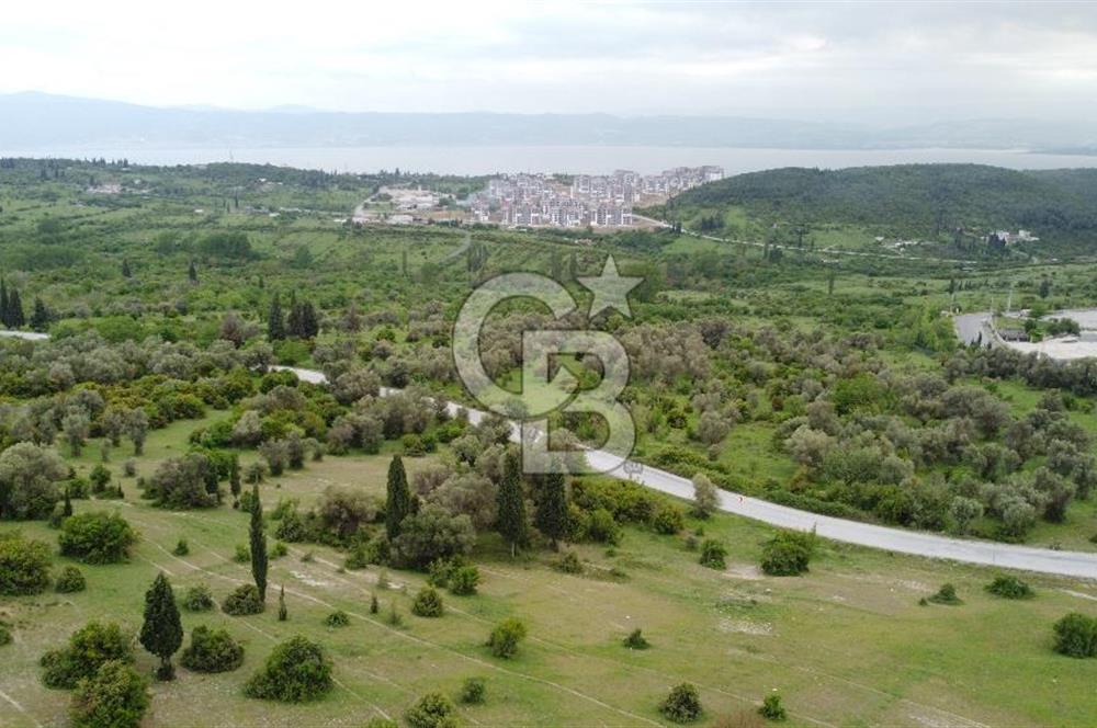 Tavşancıl da Köprü Ve Deniz Manzaralı Satılık 880 m² Parsel