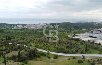 Tavşancıl da Köprü Ve Deniz Manzaralı Satılık 880 m² Parsel
