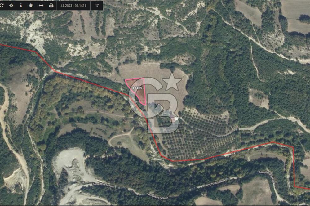 Yatırıma Uygun! Çatmaoluk'ta 2.469 m² Dere Kenarı Tarla