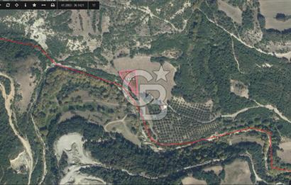 Yatırıma Uygun! Çatmaoluk'ta 2.469 m² Dere Kenarı Tarla