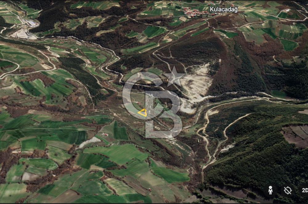 Yatırıma Uygun! Çatmaoluk'ta 2.469 m² Dere Kenarı Tarla