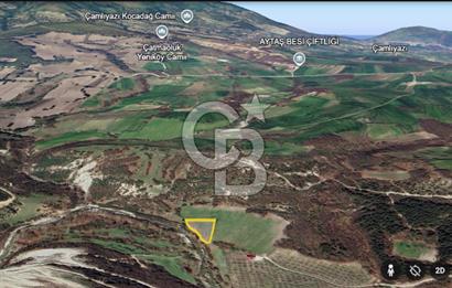 Yatırıma Uygun! Çatmaoluk'ta 2.469 m² Dere Kenarı Tarla