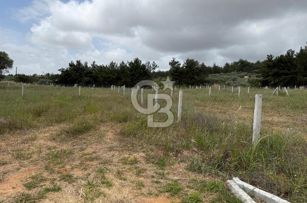 BUCA KIRKLAR 406 M² ELEKTRİK ve SUYU MEVCUT