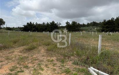BUCA KIRKLAR 406 M² ELEKTRİK ve SUYU MEVCUT