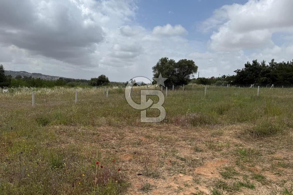 BUCA KIRKLAR 406 M² ELEKTRİK ve SUYU MEVCUT