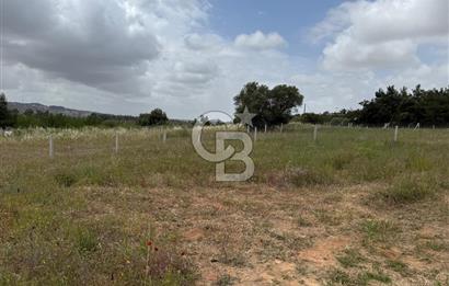 BUCA KIRKLAR 406 M² ELEKTRİK ve SUYU MEVCUT