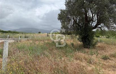 BUCA KIRKLAR 406 M² ELEKTRİK ve SUYU MEVCUT