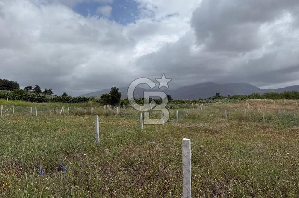 BUCA KIRKLAR 406 M² ELEKTRİK ve SUYU MEVCUT