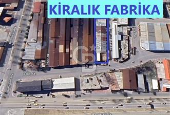 Denizli Şemikler H: 5,5 1056 m² Kiralık Sanayi & Fabrika Hol'ü