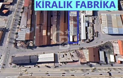 Denizli Şemikler H: 5,5 1056 m² Kiralık Sanayi & Fabrika Hol'ü
