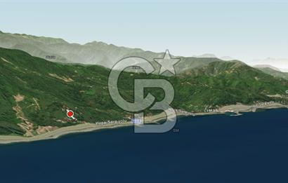 Fındıklı Lİman Mahallesinde Köy İçinde Arsa