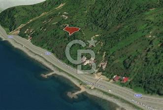 Fındıklı Liman Mahallesinde Denize 100 metre fırsat ARSA
