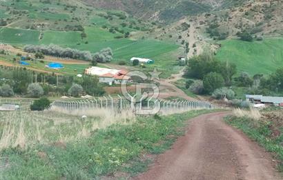 ELMADAĞ AKÇAALİ MAHALLESİNDE 1.848 M2 FIRSAT TARLA