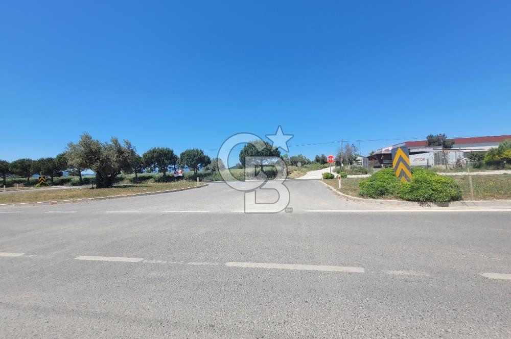 İzmir Urla'da Devren Satılık İşyeri.