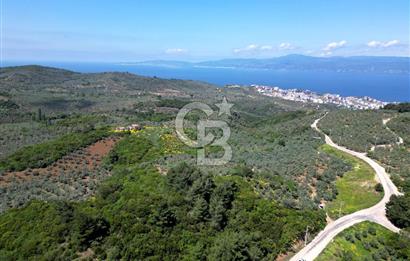 BURSA, MUDANYA HALİTBEY'de SATILIK 1/3 HİSSE ARAZİ