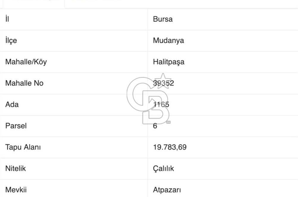 BURSA, MUDANYA HALİTBEY'de SATILIK 1/3 HİSSE ARAZİ