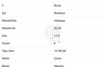 BURSA, MUDANYA HALİTBEY'de SATILIK 1/3 HİSSE ARAZİ