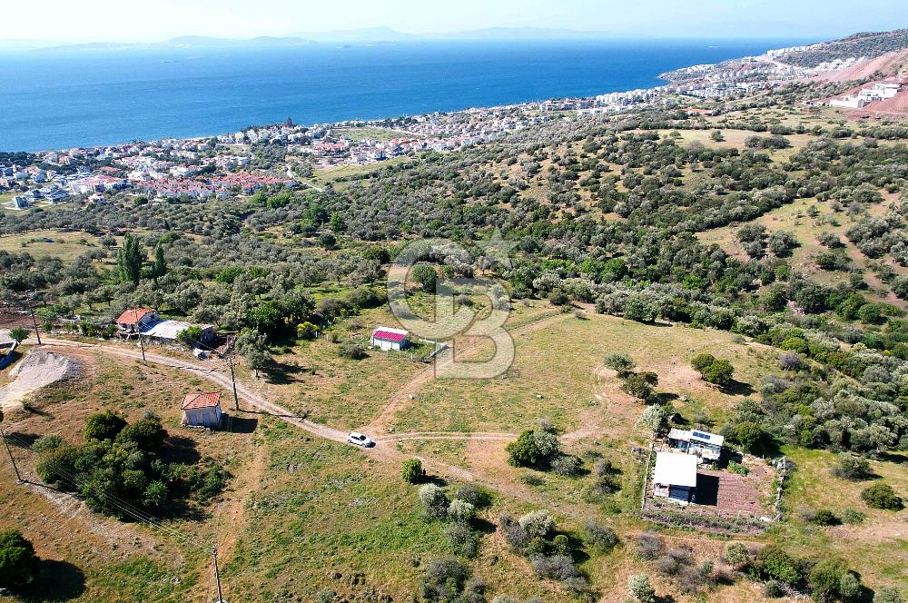 ÇANDARLI'DA 375 M2 DOĞA İLE İÇİÇE İMARLI ARSA