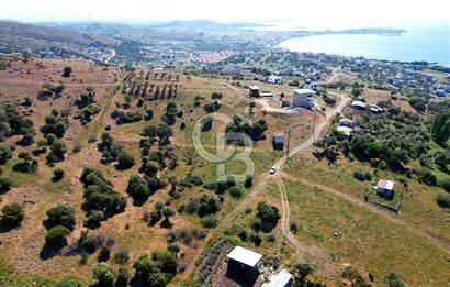 ÇANDARLI'DA 375 M2 DOĞA İLE İÇİÇE İMARLI ARSA