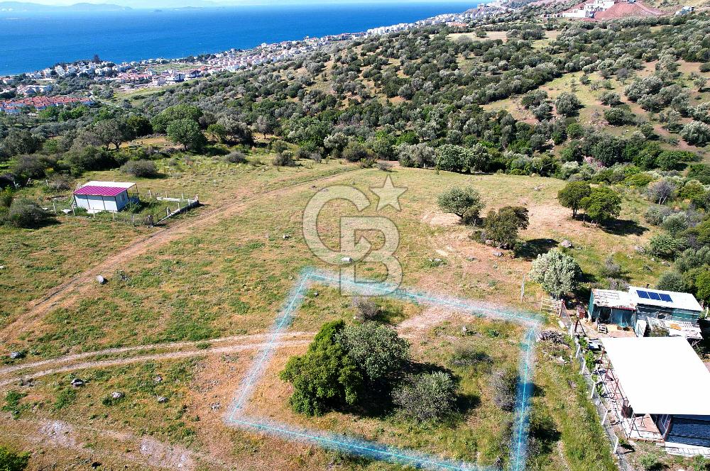 ÇANDARLI'DA 375 M2 DOĞA İLE İÇİÇE İMARLI ARSA
