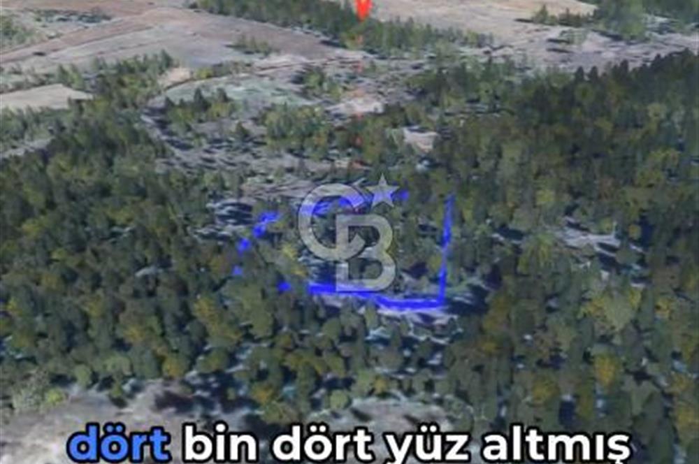 KASTAMONU KÖÇEKLİ'DE YATIRIM FIRSATI