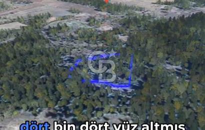 KASTAMONU KÖÇEKLİ'DE YATIRIM FIRSATI