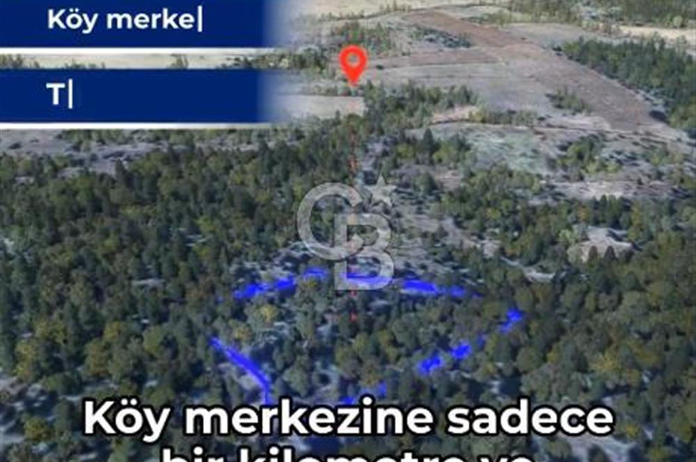 KASTAMONU KÖÇEKLİ'DE YATIRIM FIRSATI