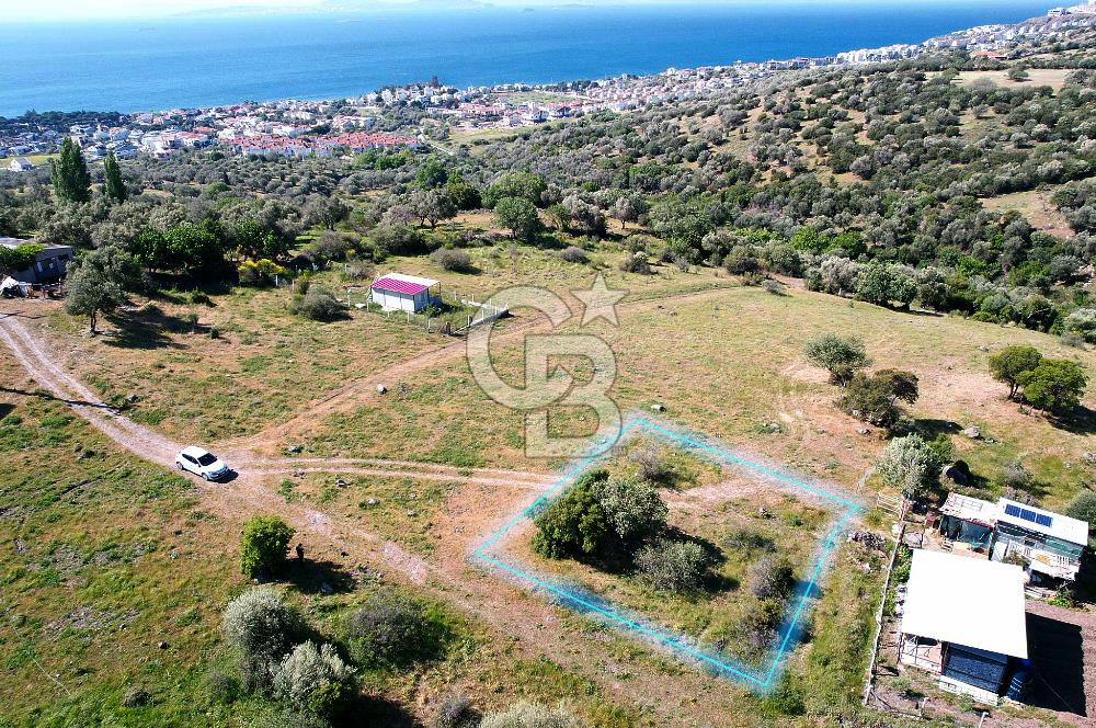ÇANDARLI'DA 375 M2 DOĞA İLE İÇİÇE İMARLI ARSA