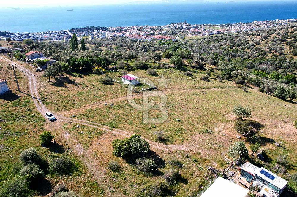 ÇANDARLI'DA 375 M2 DOĞA İLE İÇİÇE İMARLI ARSA