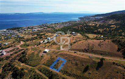 ÇANDARLI'DA FULL DENİZ MANZARALI İMARLI 350 M2 ARSA