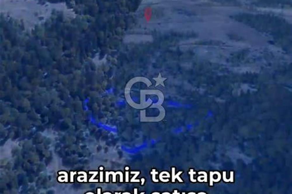 KASTAMONU KÖÇEKLİ'DE YATIRIM FIRSATI