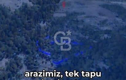 KASTAMONU KÖÇEKLİ'DE YATIRIM FIRSATI